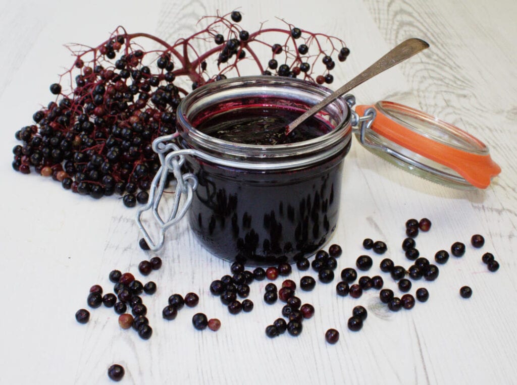 Elderberry & Port Jelly Tales From The Kitchen Shed