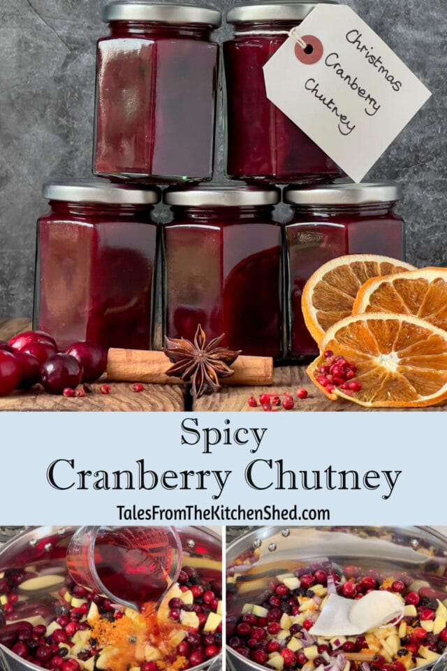 Spicy Cranberry Chutney Tales From The Kitchen Shed